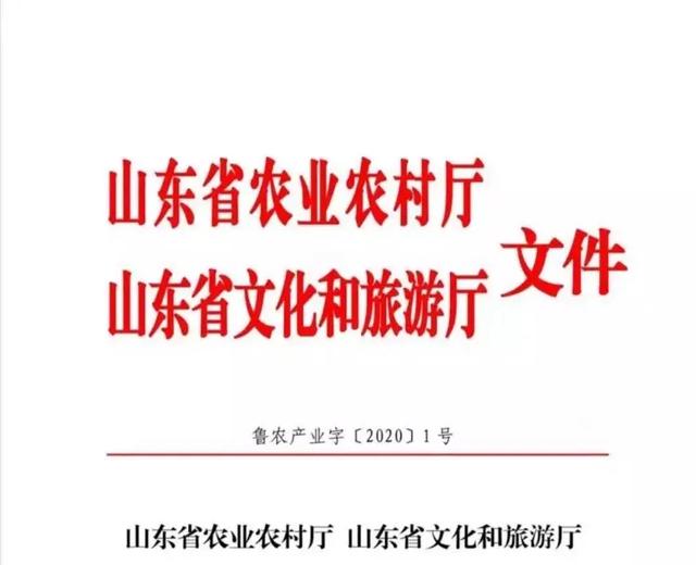 你了解“日照绿”吗?勿忘"最美山海天"之约!
