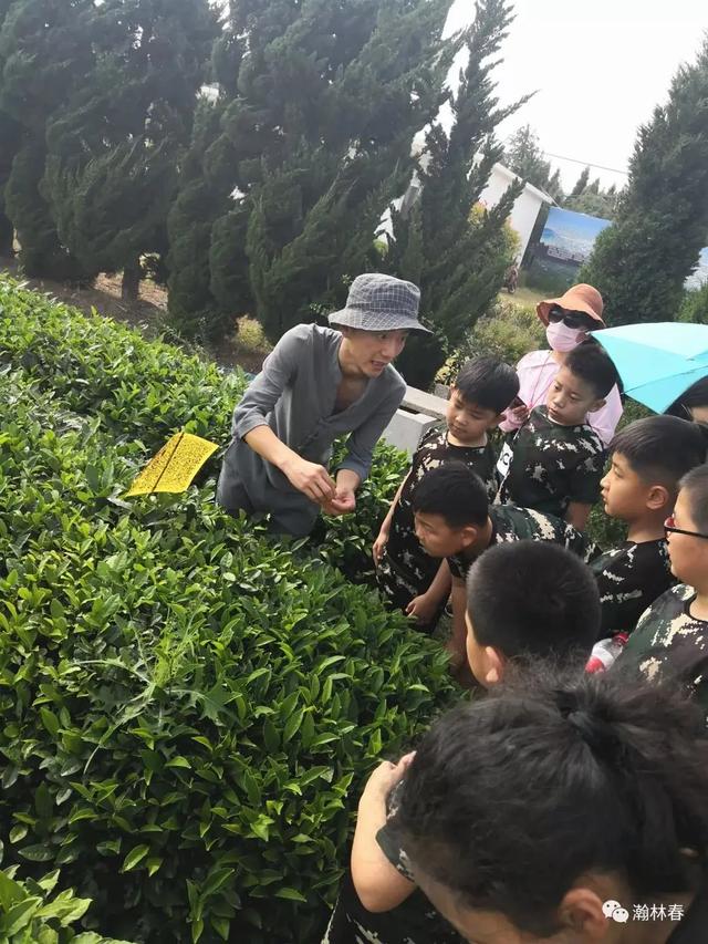 你了解“日照绿”吗?勿忘"最美山海天"之约!