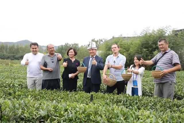 你了解“日照绿”吗?勿忘"最美山海天"之约!